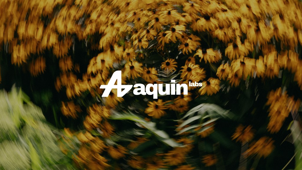 Aquin Labs